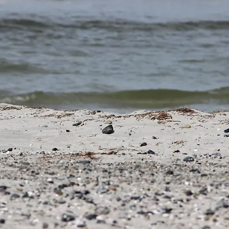 Daire Residenz Am 2-40 Zingst