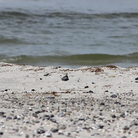 Διαμέρισμα Residenz Am 2-40 *